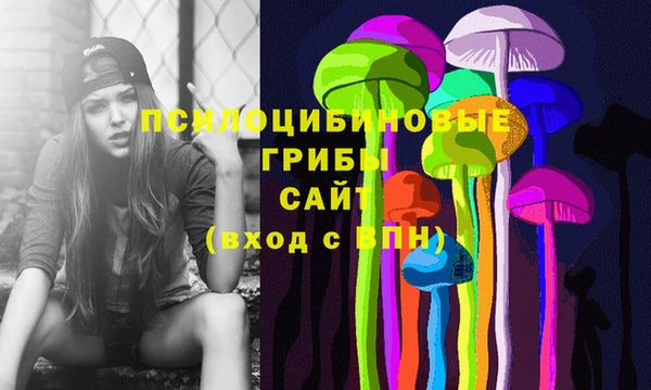 спиды Белокуриха