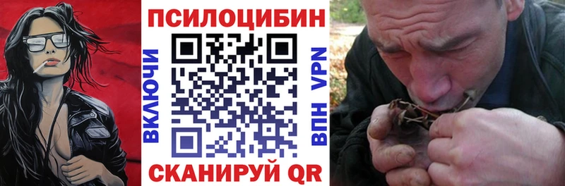 Псилоцибиновые грибы Psilocybine cubensis  Купить  Кушва 